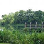 Silence 5 x 7 Original Phot..