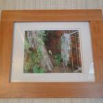 Lost Moss Wood Framed and I..