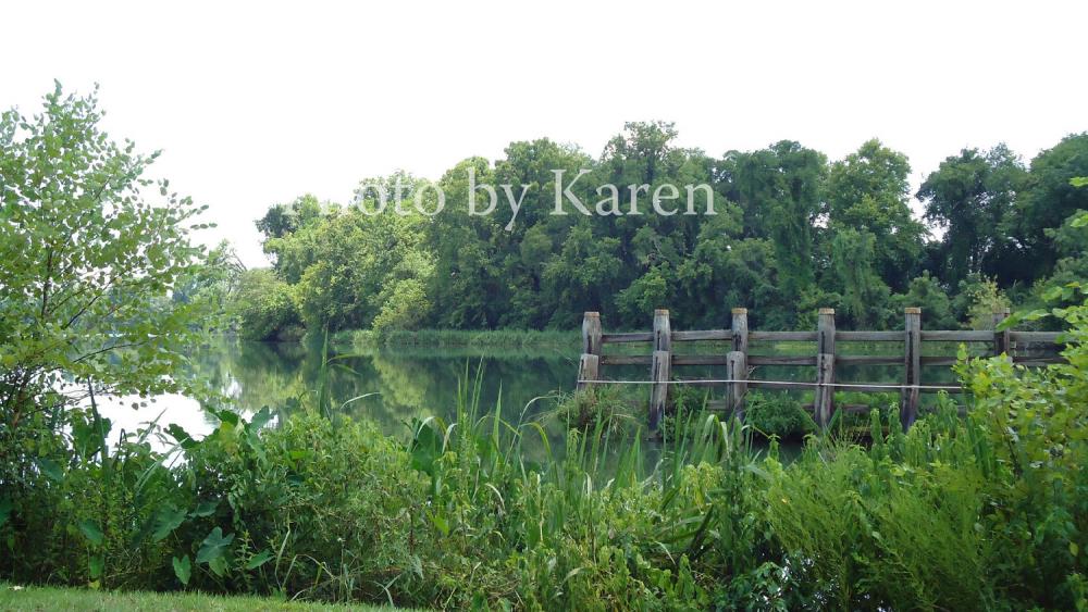 Silence 5 x 7 Original Photograph, other sizes available