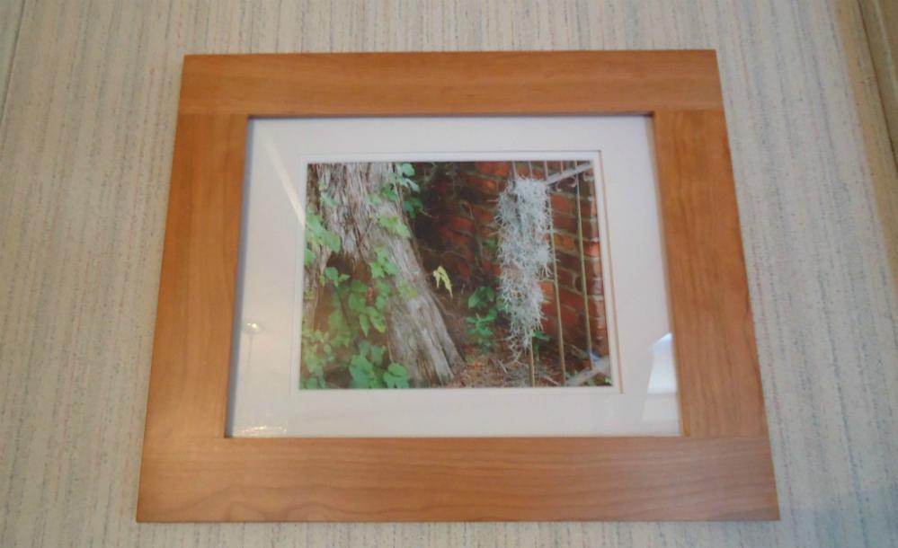 Lost Moss Wood Framed and Ivory Matted Original Photograph